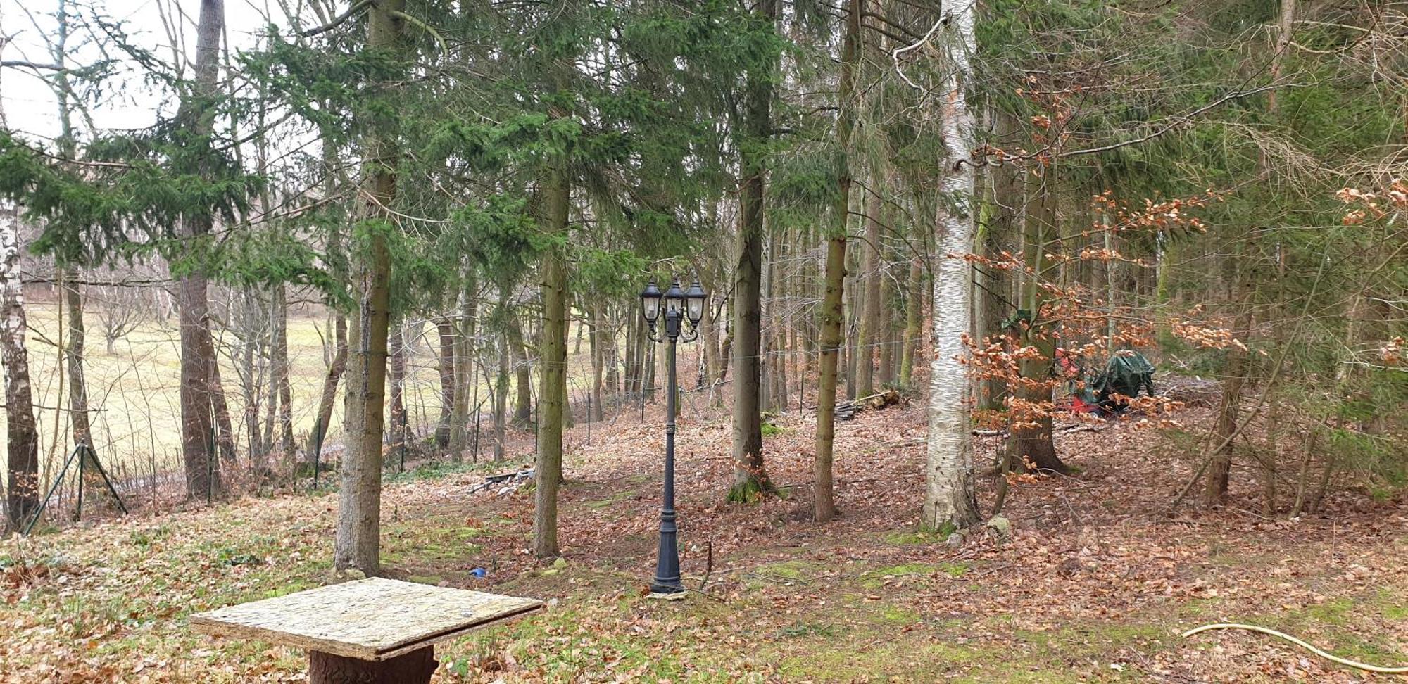 Waldhaus Hempe Villa Tabarz Buitenkant foto